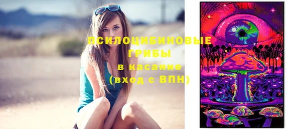 таблы Бородино