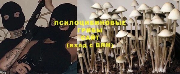 таблы Бородино