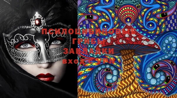 таблы Бородино